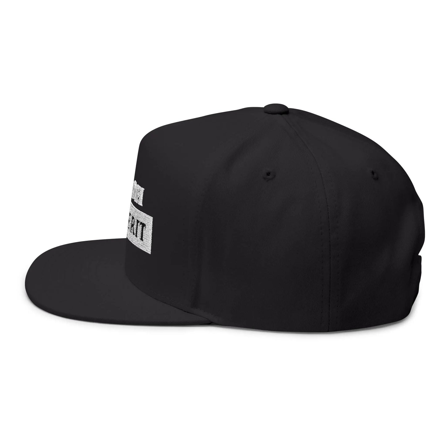 Anti-Dei Pro-Merit Embroidered Cap