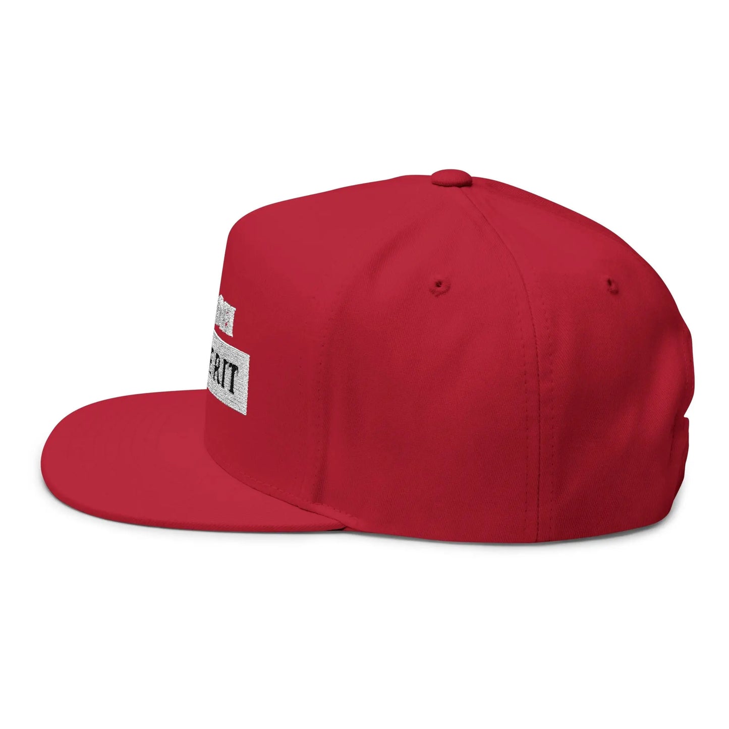 Anti-Dei Pro-Merit Embroidered Cap